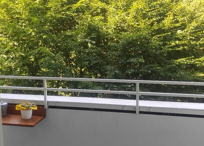 Schoene Und Gemuetliche 公寓